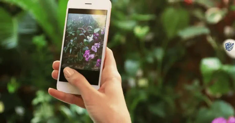How to Choose a Smartphone Based on Camera Quality